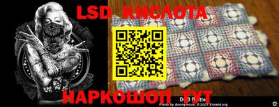 гидра Будённовск
