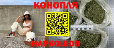 гидра Будённовск