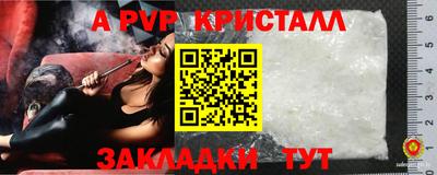 гидра Будённовск