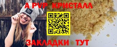 гидра Будённовск